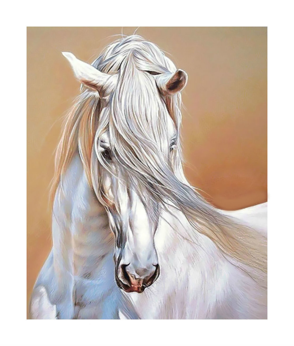 Белая лошадь. - животные, живопись, лошадь, конь - оригинал