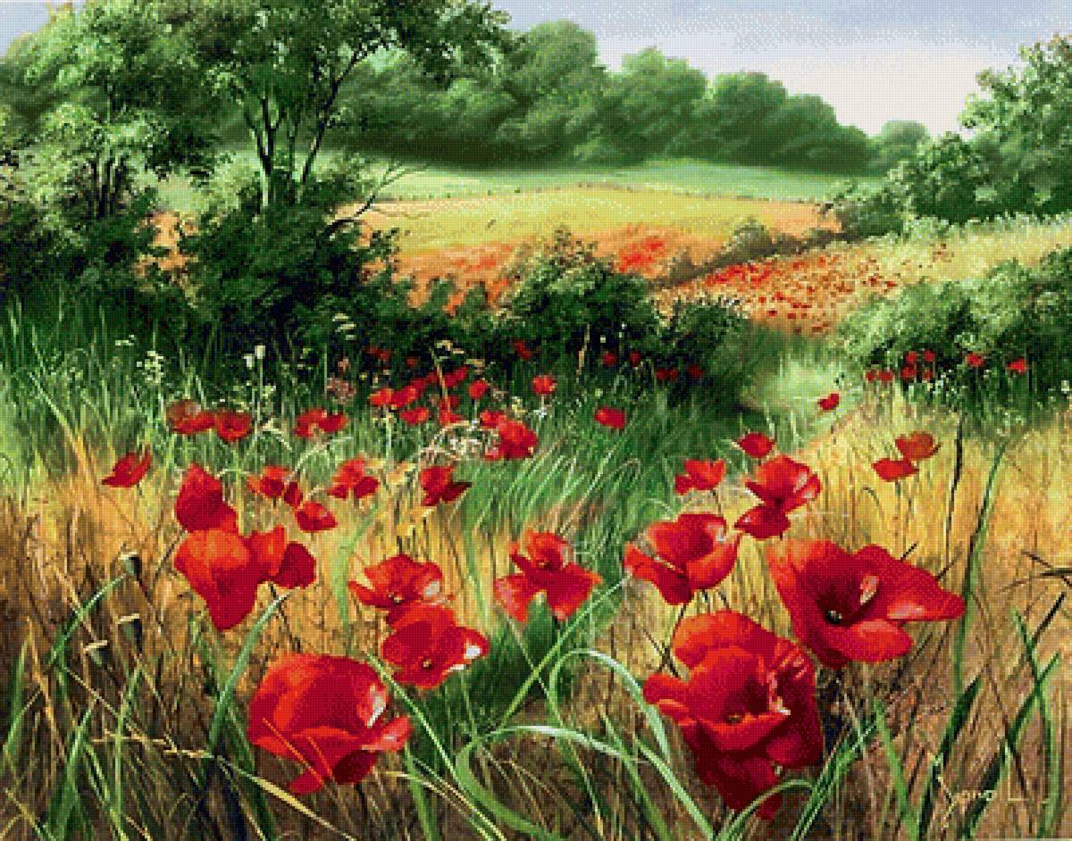 Поле - пейзаж, поле - предпросмотр