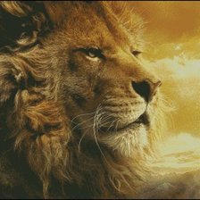 Схема вышивки «король лев»