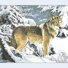 Оригинал схемы вышивки «Волк в зимнем лесу.» (№2010157)