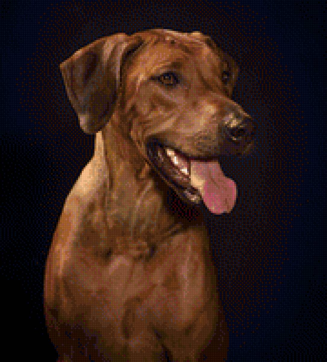 Фрея - риджбек - предпросмотр