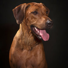 Схема вышивки «Фрея»