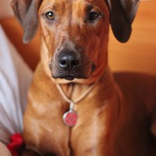 Схема вышивки «Фрея 2»