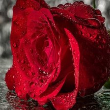 Схема вышивки «№2010496»