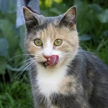 Было вкусно