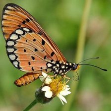 Схема вышивки «Остановись мгновение»