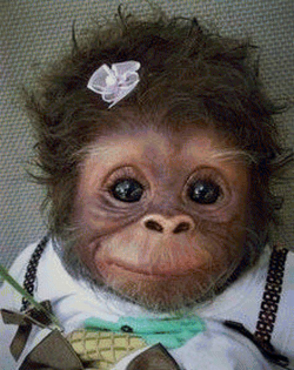 милая обезьянка - предпросмотр