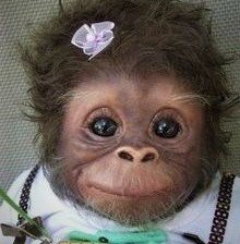 Схема вышивки «милая обезьянка»