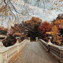 Схема вышивки «№2010999»