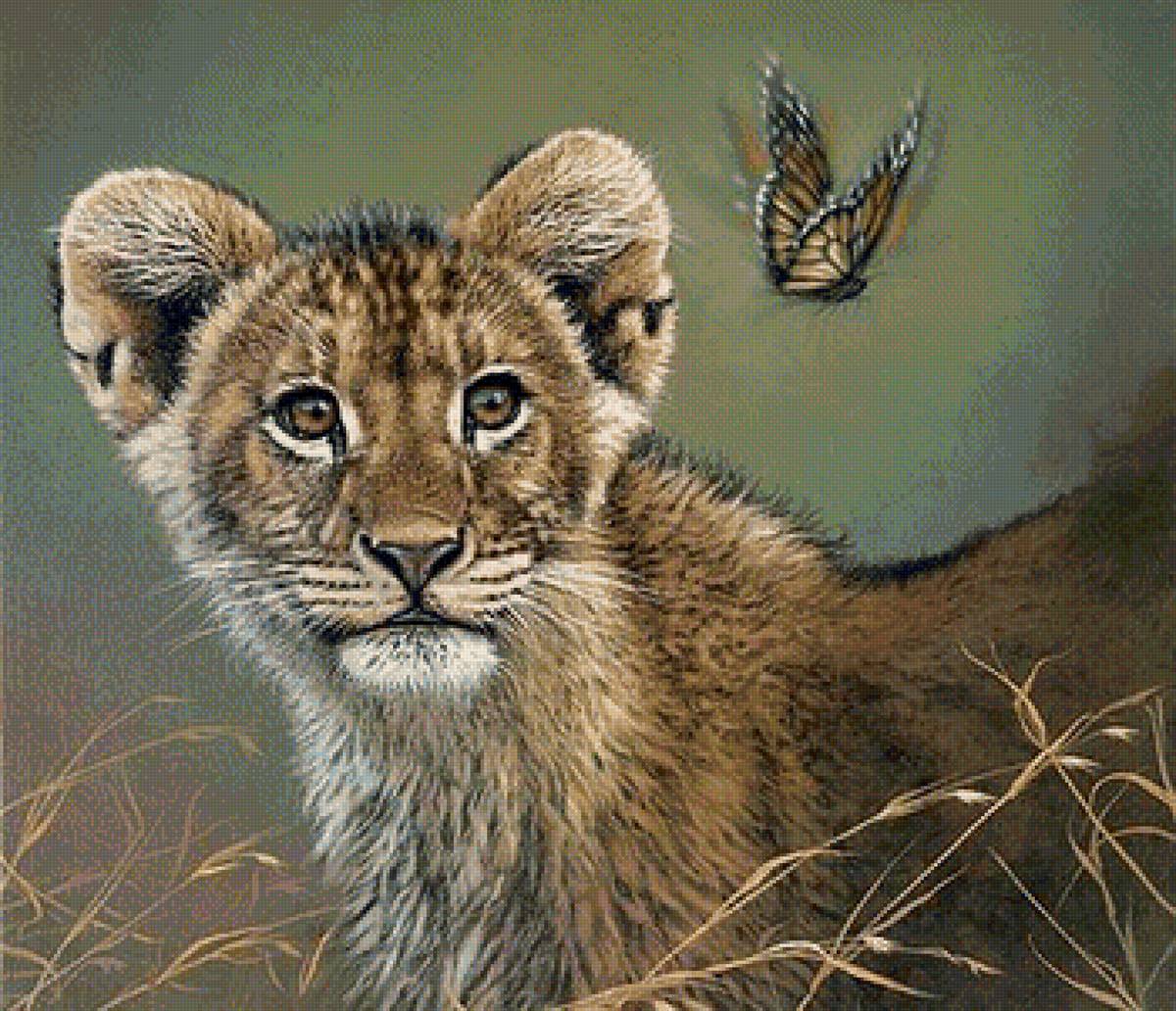 дикие - предпросмотр