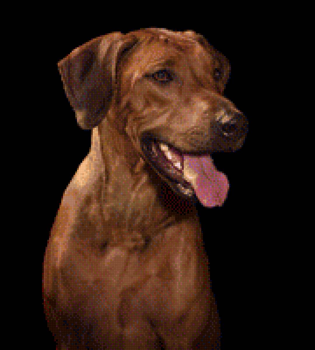 фрея 4 - риджбек - предпросмотр