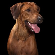 Схема вышивки «фрея 4»