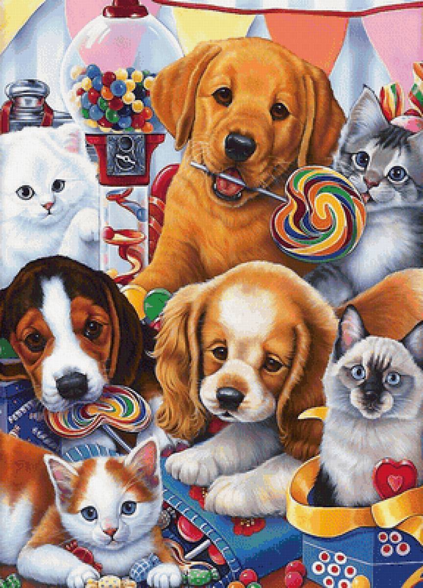 щенки и котята - щенки, котята, конфеты, сладости - предпросмотр