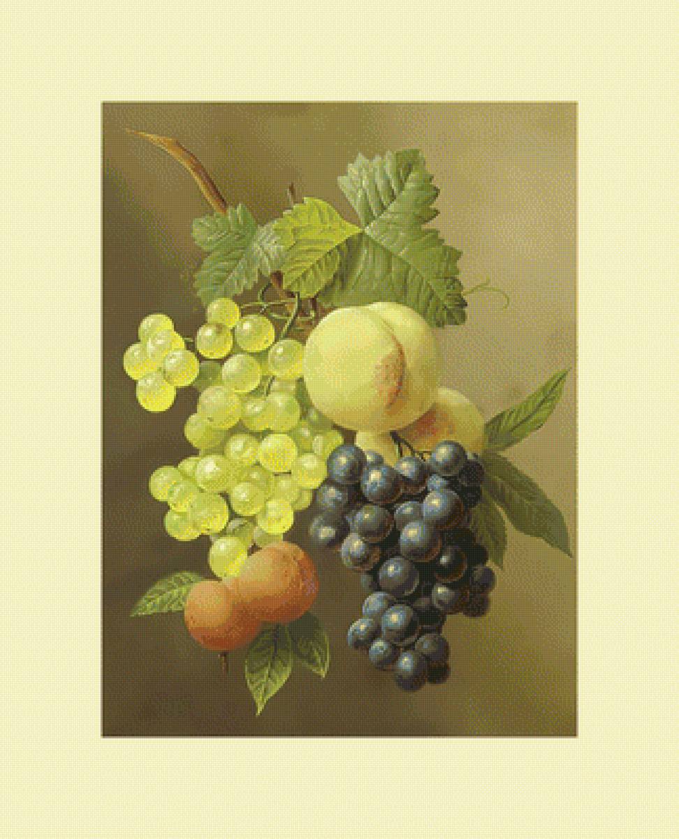 Виноград. - фрукты, виноград, живопись, ягоды, абрикосы - предпросмотр