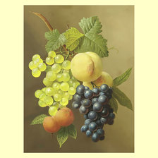 Оригинал схемы вышивки «Виноград.» (№2012231)