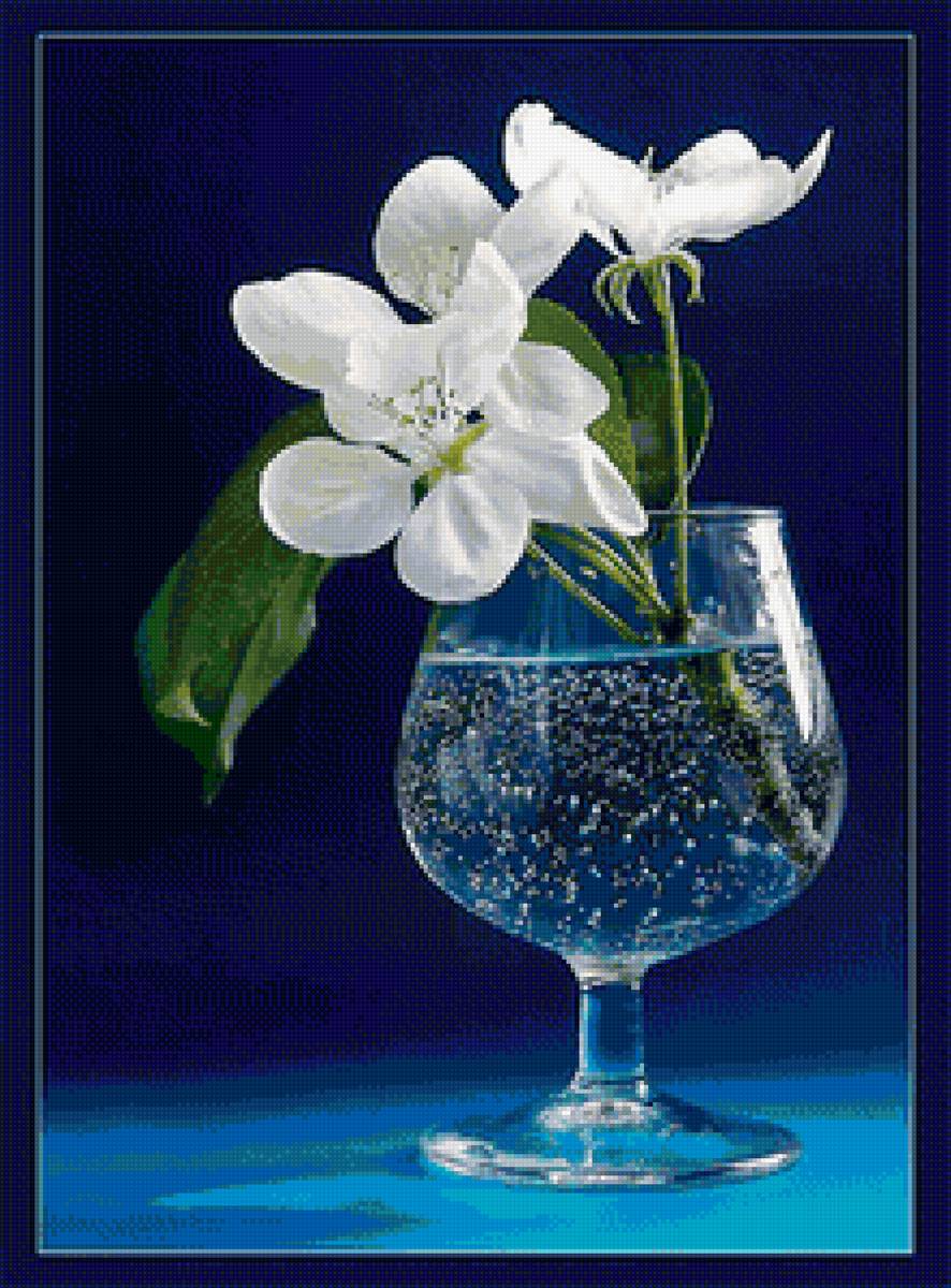 Добрый вечер открытки весенние очень красивые. Цветы в бокале. Красивые цветы в бокале. Цветок в фужере с водой. Цветы в рюмке.
