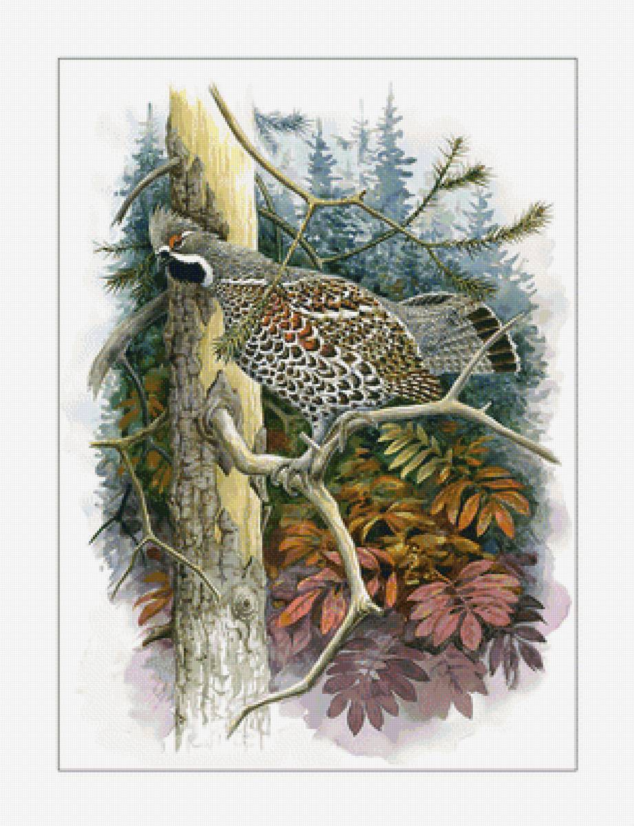 Птица. - птицы, акварель, живопись - предпросмотр