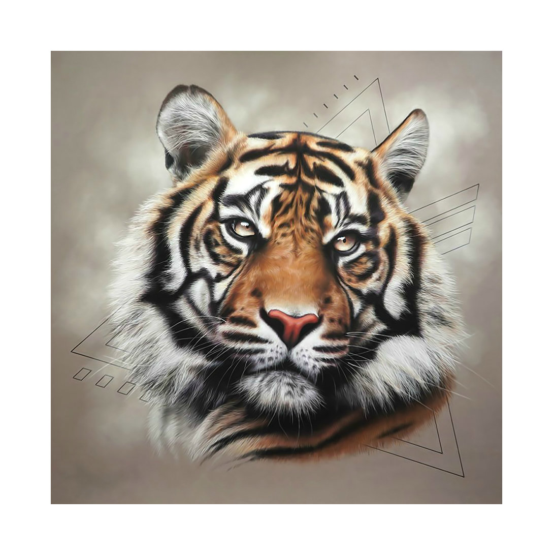 Тигр. - тигр, животные, хищник, взгляд - оригинал
