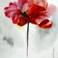 Схема вышивки «Мак»