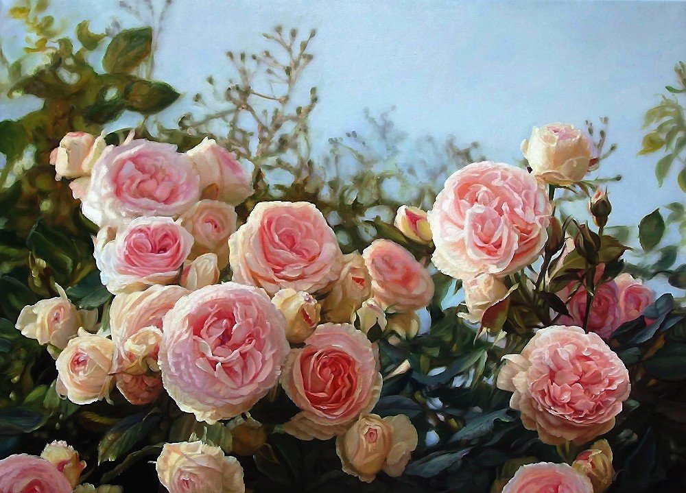 розы - куст, розы, цветы - оригинал