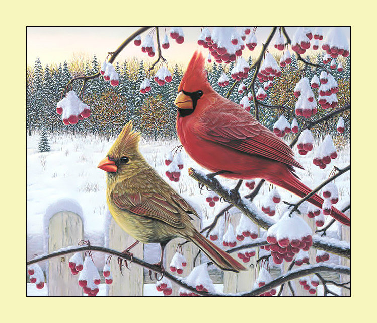 Зимние кардиналы. - рябина, зима, живопись, пейзаж, птицы, кардиналы, снег - оригинал