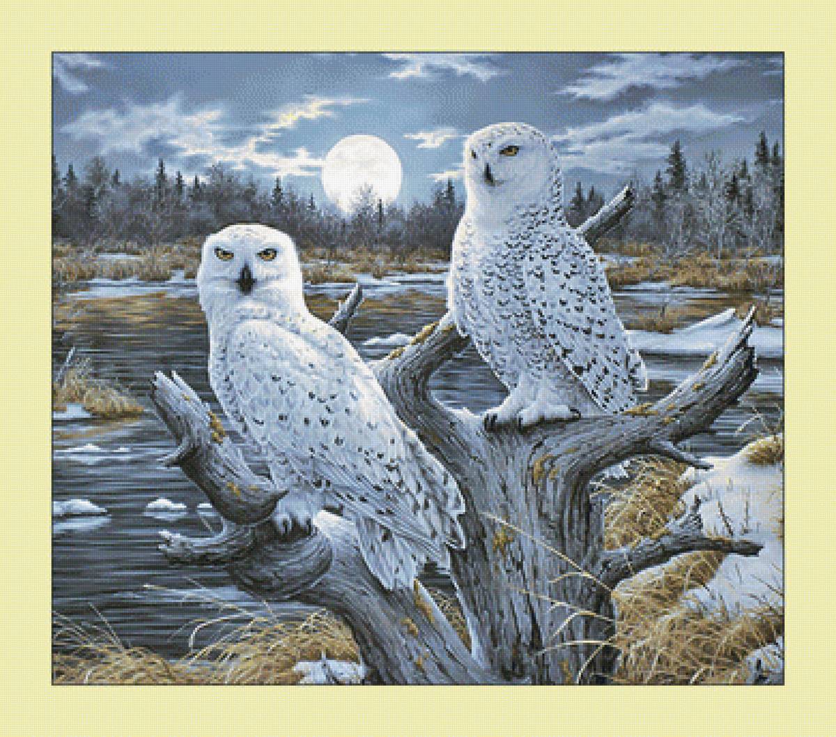 Совы. - совы, луна, птицы, снег, зима - предпросмотр