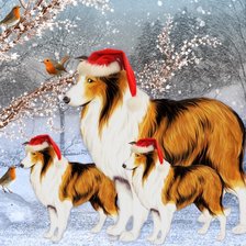 Схема вышивки «новогодние колли»