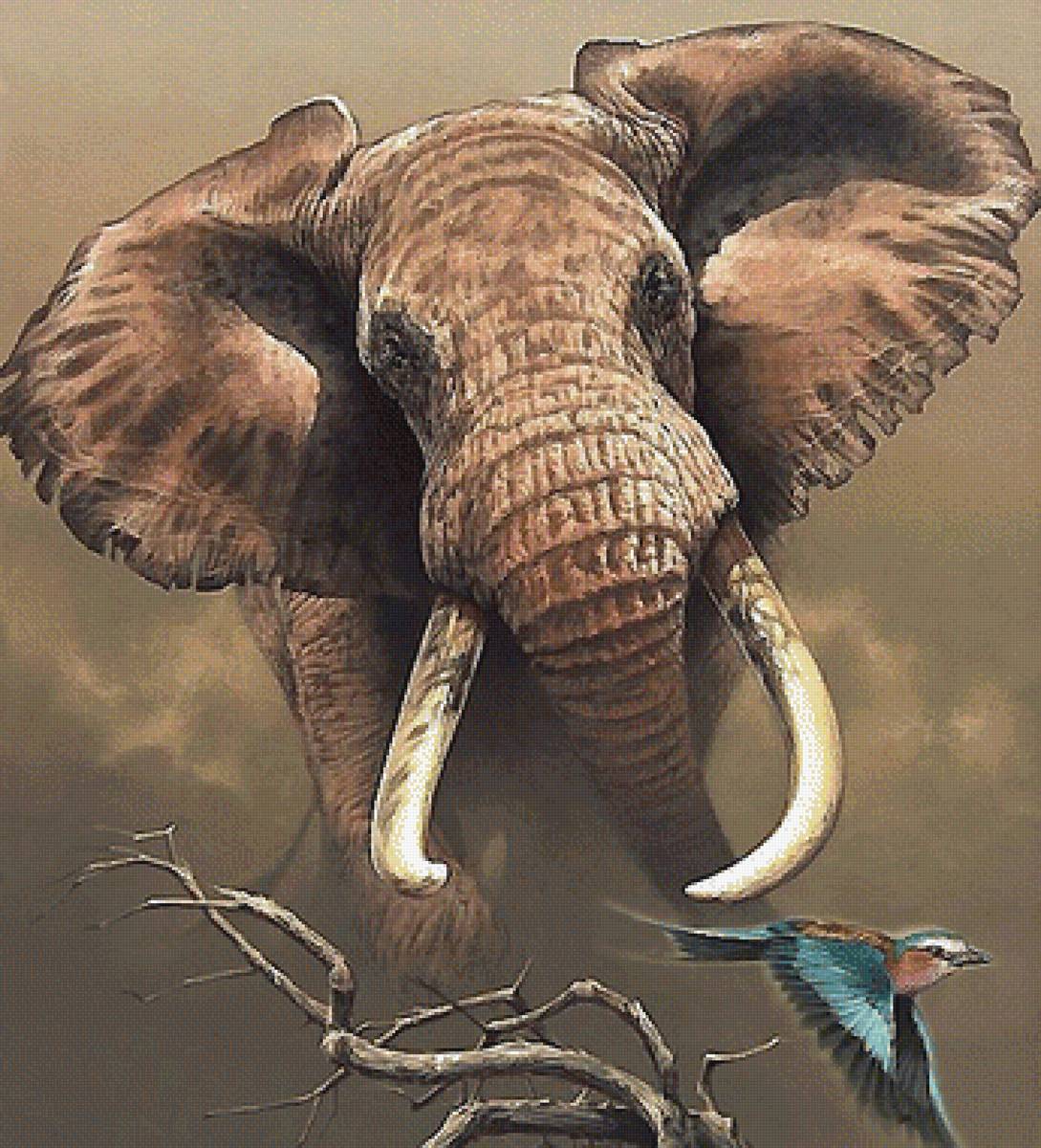 слон - мир животных - предпросмотр