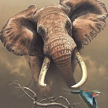 Схема вышивки «слон»