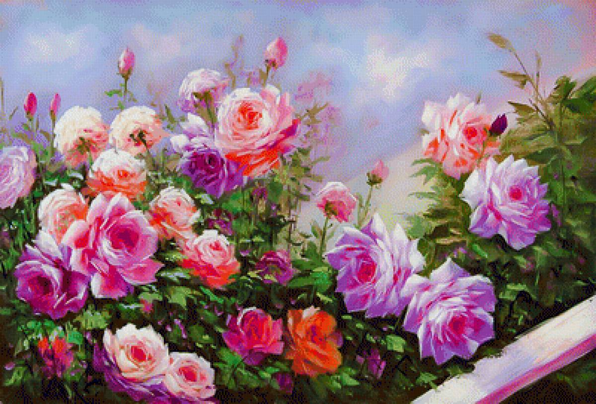 Wild Roses. - flowers and gardens. - предпросмотр