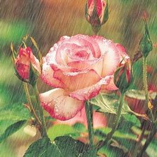 Схема вышивки «цветы»