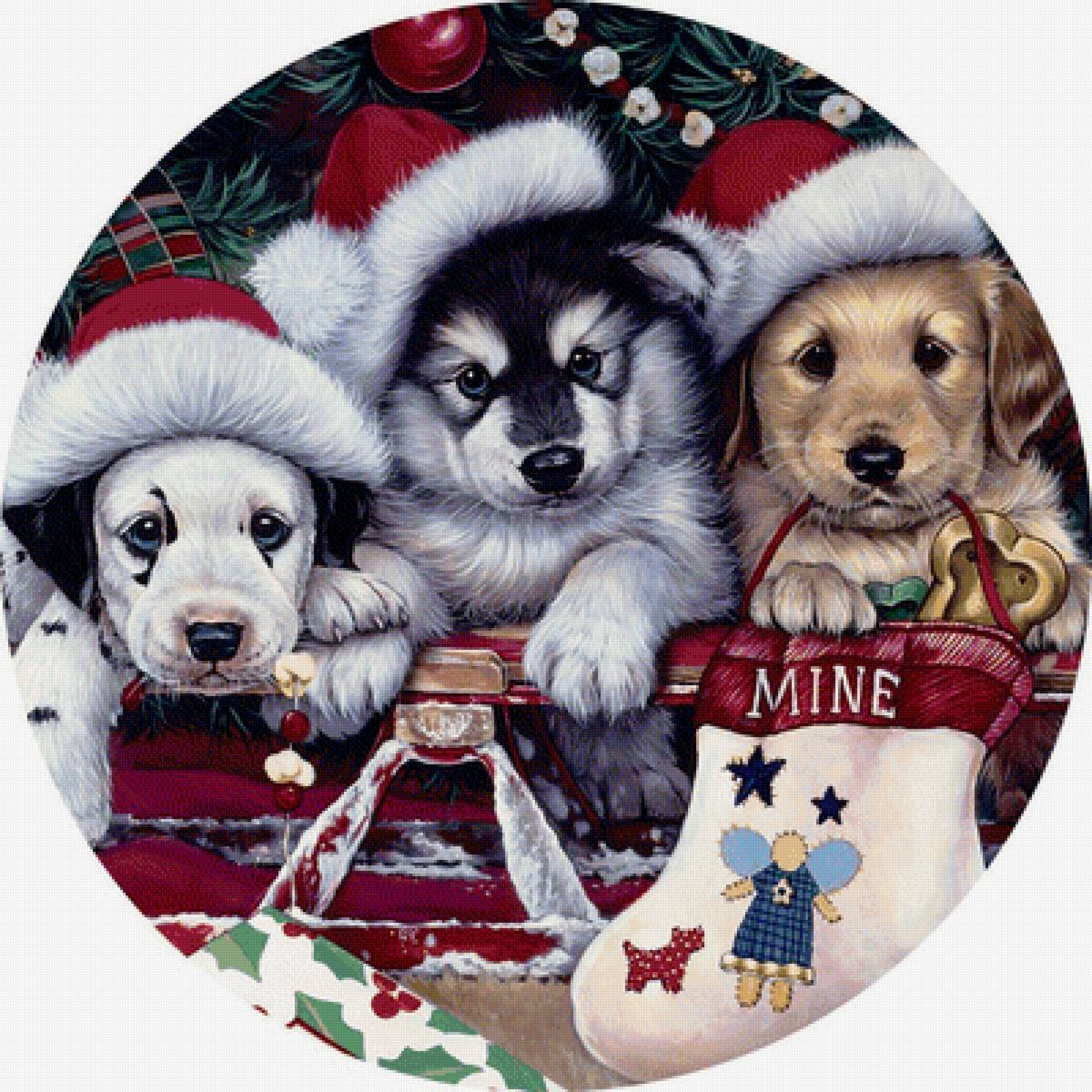 Мир животных - предпросмотр