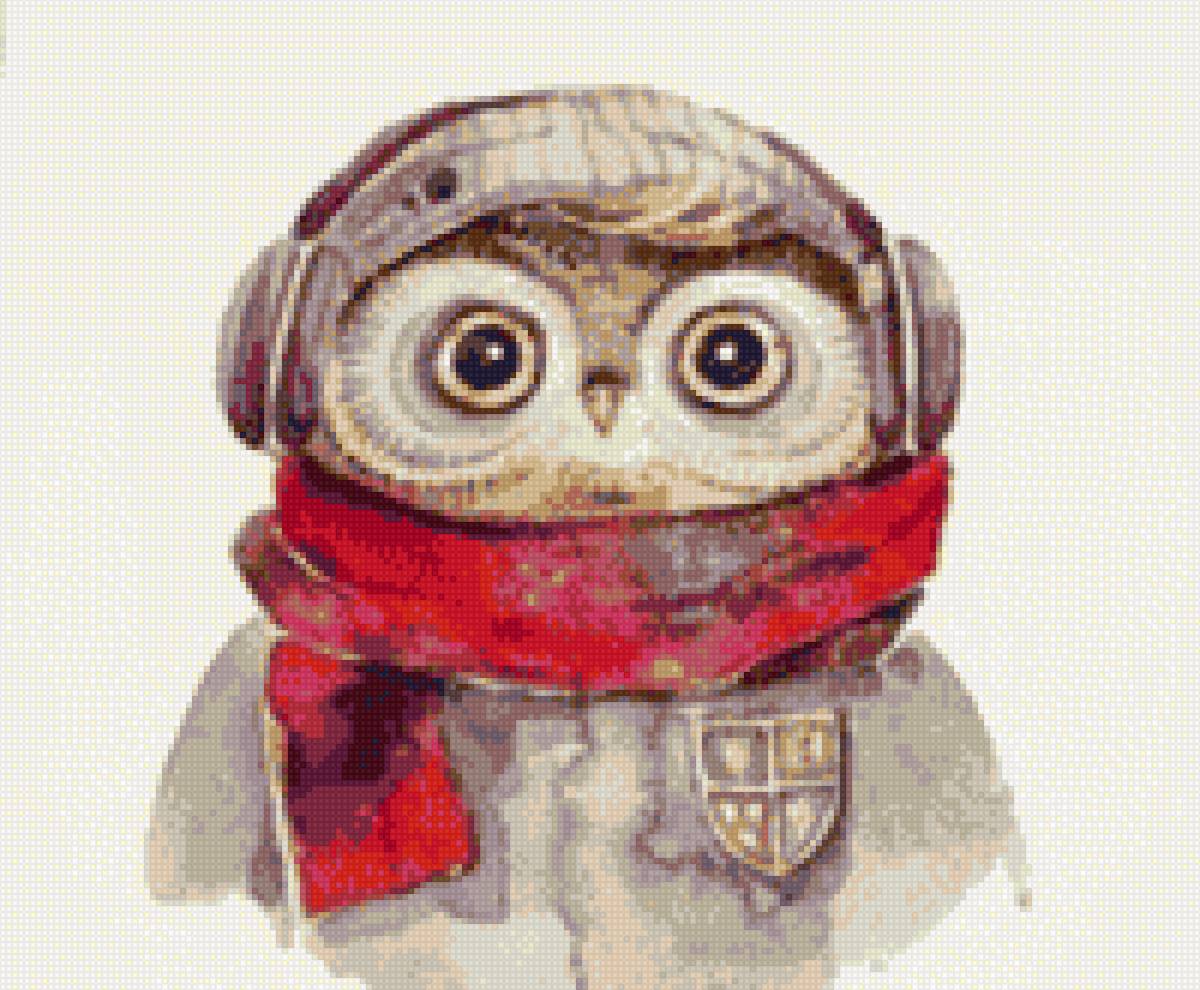 Совушка - сова, совы - предпросмотр