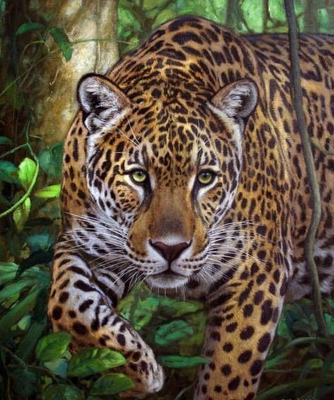 дикие - оригинал