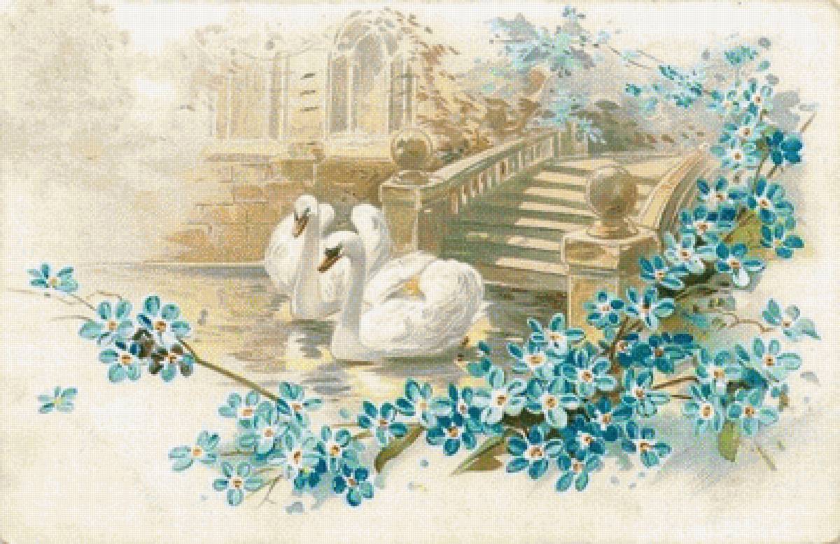 labute - предпросмотр