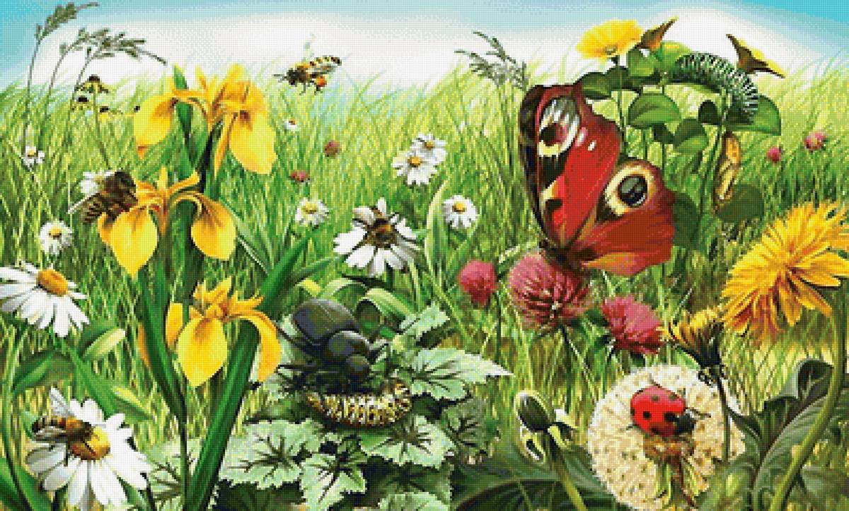 На лугу - цветы, лето, насекомые - предпросмотр