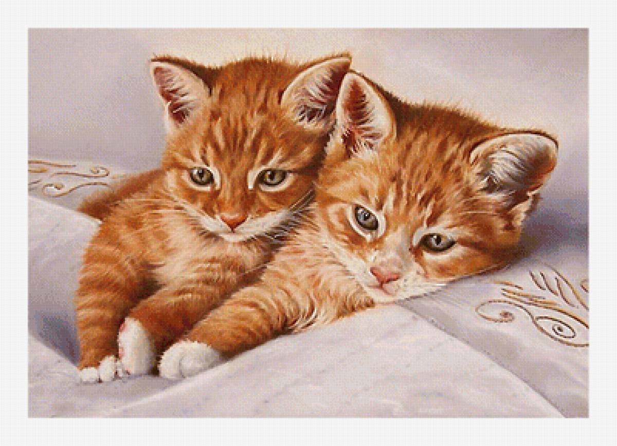 Серия "Коты". - животные, коты - предпросмотр