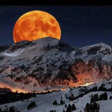 Схема вышивки «№2013995»