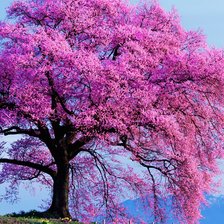 Схема вышивки «№2014002»