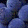 Предпросмотр схемы вышивки «Виноград» (№2014207)