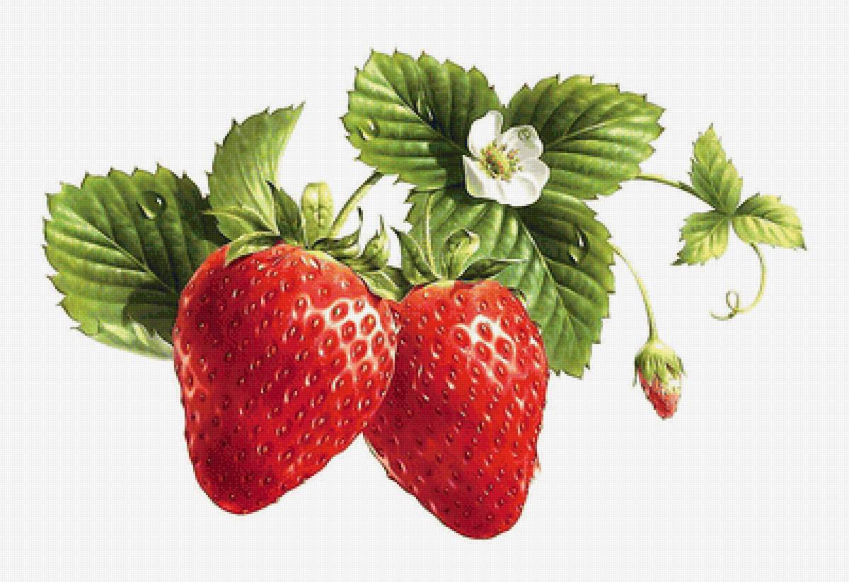 №2014376 - предпросмотр