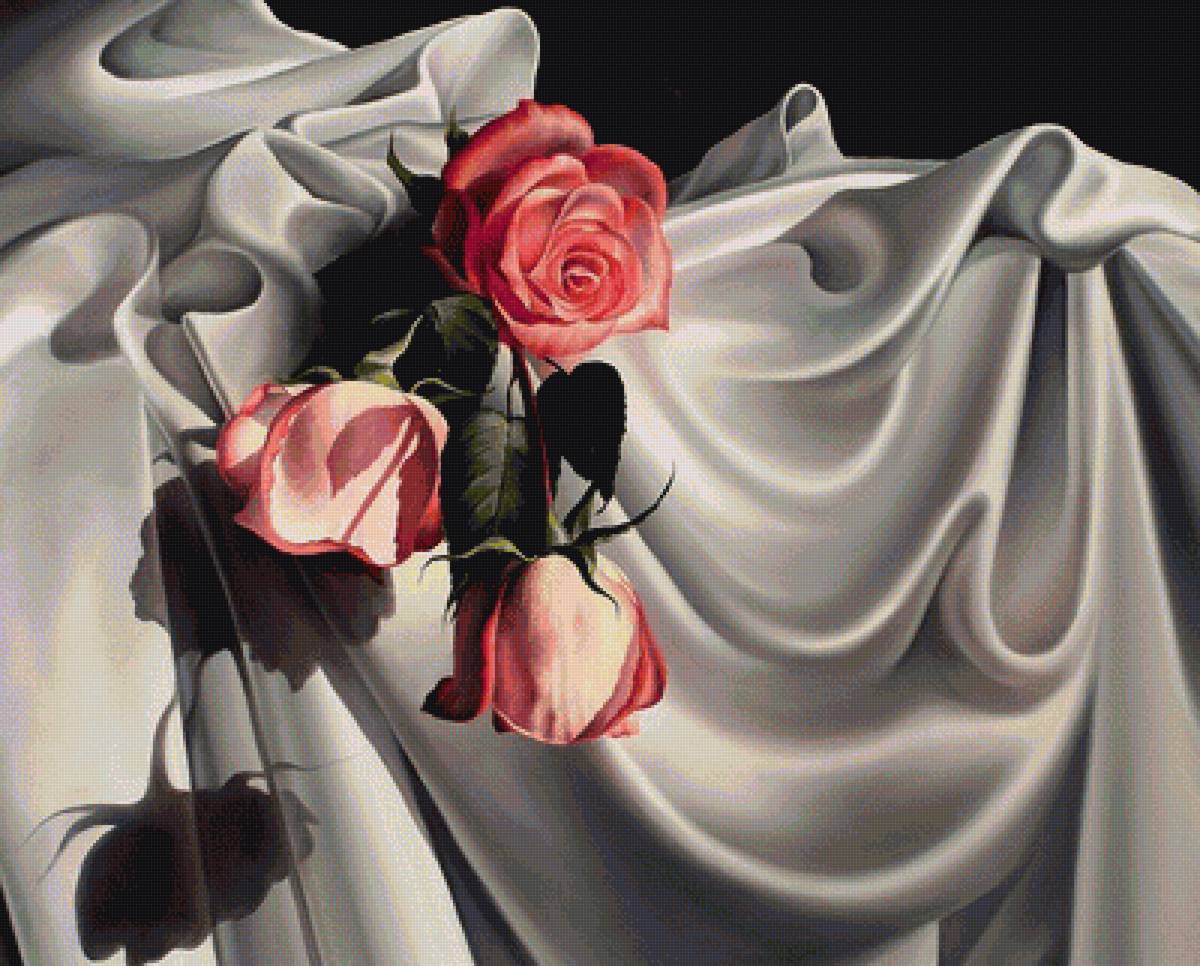 ruže - предпросмотр