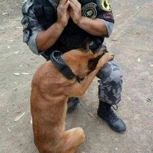 Схема вышивки «№2014795»