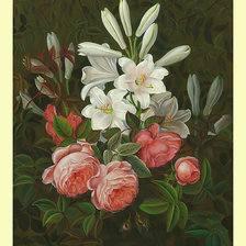 Розы и лилии.