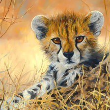 Схема вышивки «Baby Cheetah.»