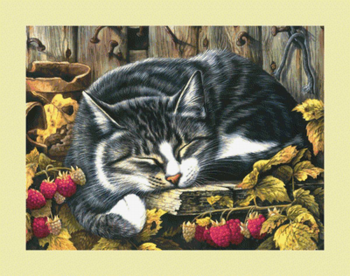 Дремлющий котик. - сон, ягоды, малина, живопись, кошка, животные, кот - предпросмотр