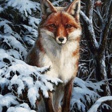 Схема вышивки «№2015313»