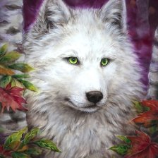 Оригинал схемы вышивки «белый волк» (№2015419)
