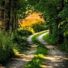 Схема вышивки «№2015613»