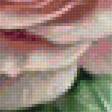 Предпросмотр схемы вышивки «букет с розами» (№2015982)
